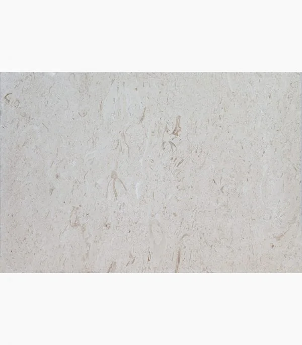 Shell Stone Limestone 16×24 showroom reference