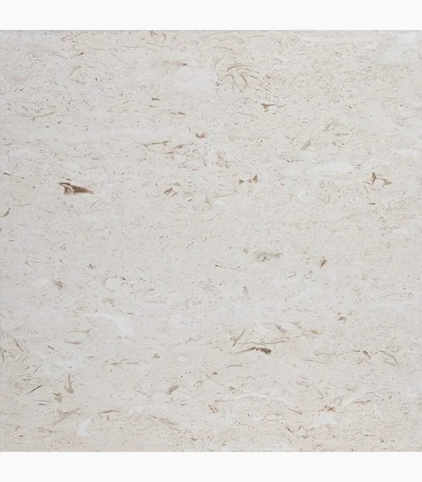 Shell Stone Limestone 24×24 showroom reference