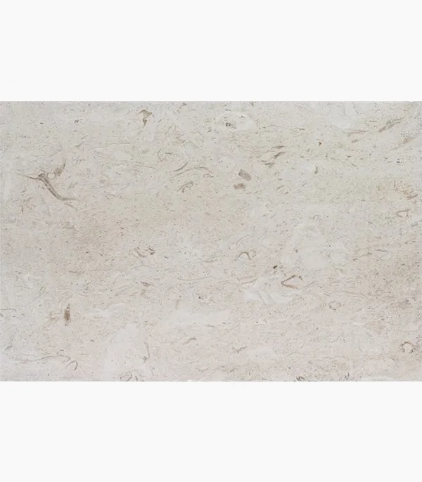 Shell Stone Limestone 16×24×2 Thick Paver showroom reference