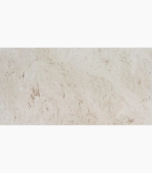 Shell Stone Limestone 12×24 showroom reference