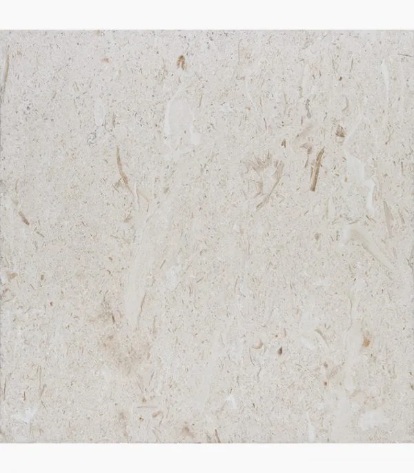 Shell Stone Limestone 16×16 showroom reference