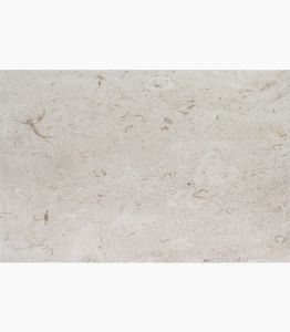16x24x2 Shell Stone Premium Select THICK Tumbled Limestone Paver