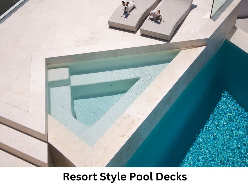 Modern pool design with paver patio in a Tampa backyard - 2025 outdoor trend